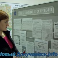 article182.jpg